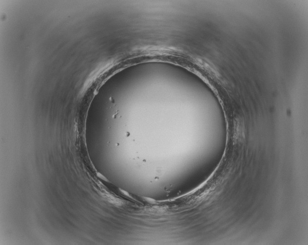 X0000067901261200604201326