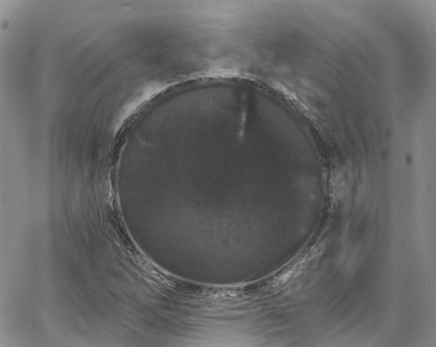 X0000067901262200604201326