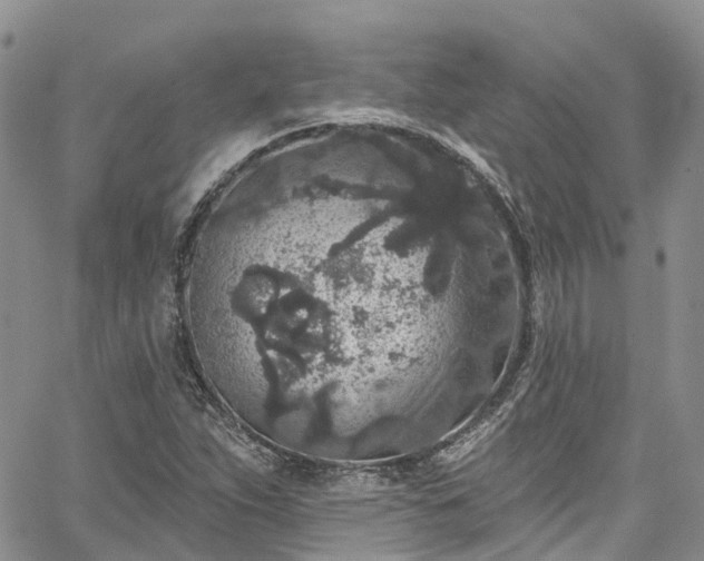 X0000067901263200604201326