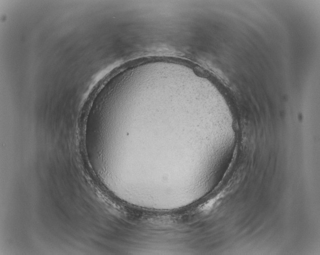 X0000067901264200604201326