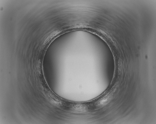 X0000067901265200604201326