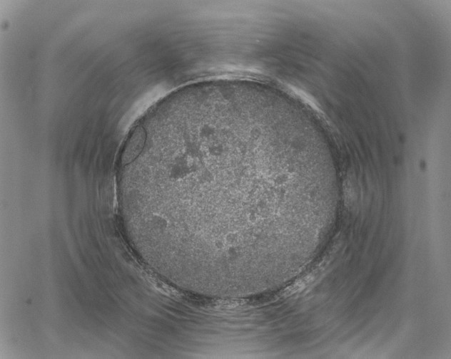 X0000067901267200604201326