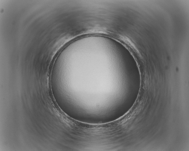 X0000067901268200604201326