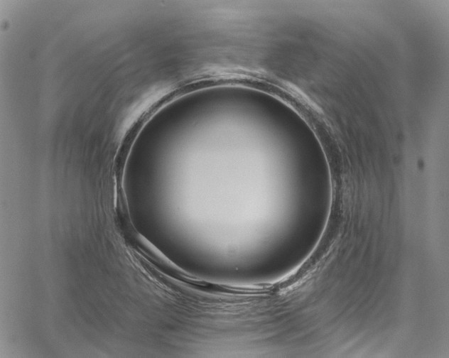 X0000067901269200604201326