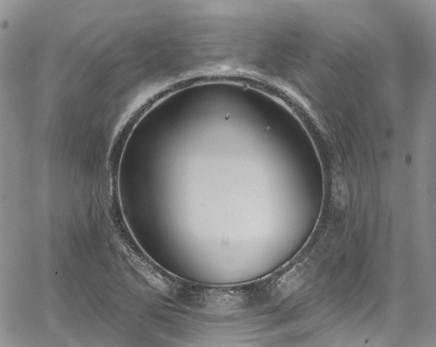 X0000067901270200604201325