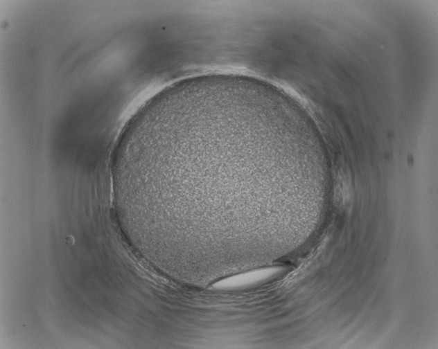 X0000067901271200604201325