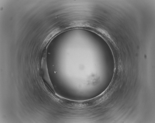 X0000067901273200604201325