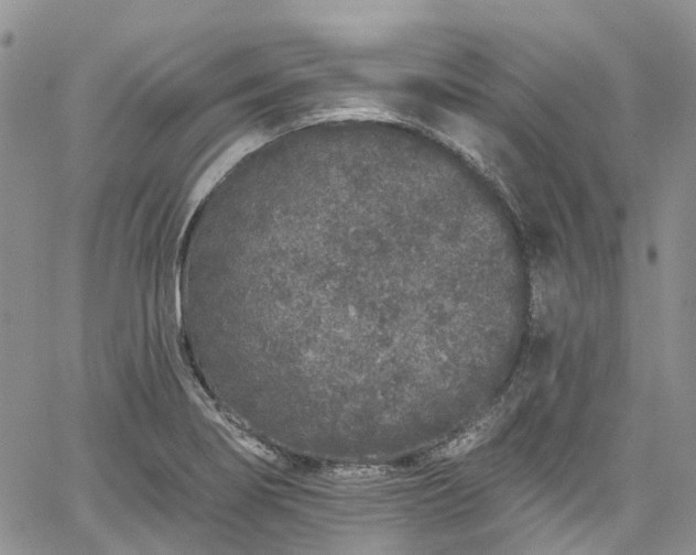 X0000067901274200604201325