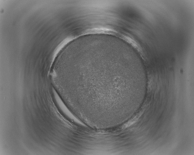 X0000067901275200604201325