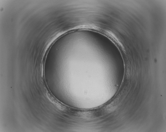 X0000067901276200604201325