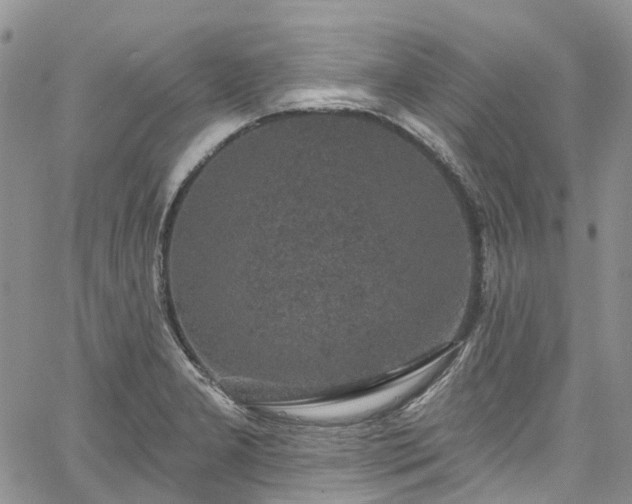 X0000067901277200604201325