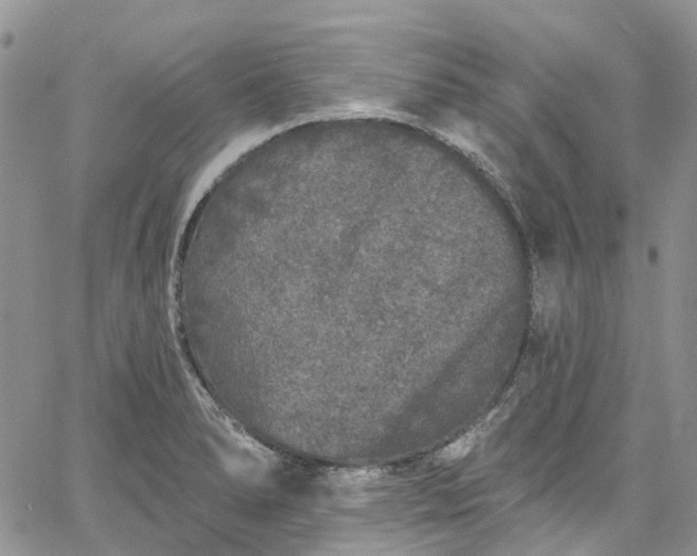 X0000067901278200604201325