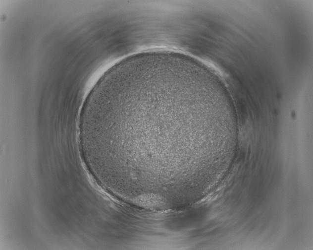 X0000067901279200604201325