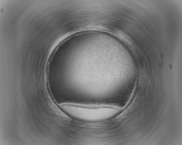 X0000067901280200604201325