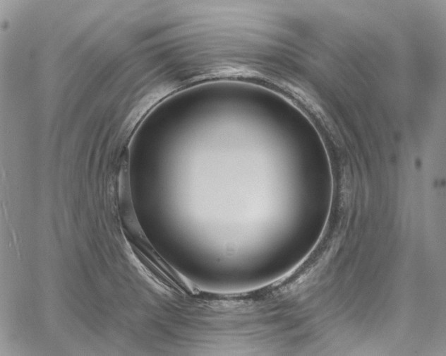 X0000067901281200604201325