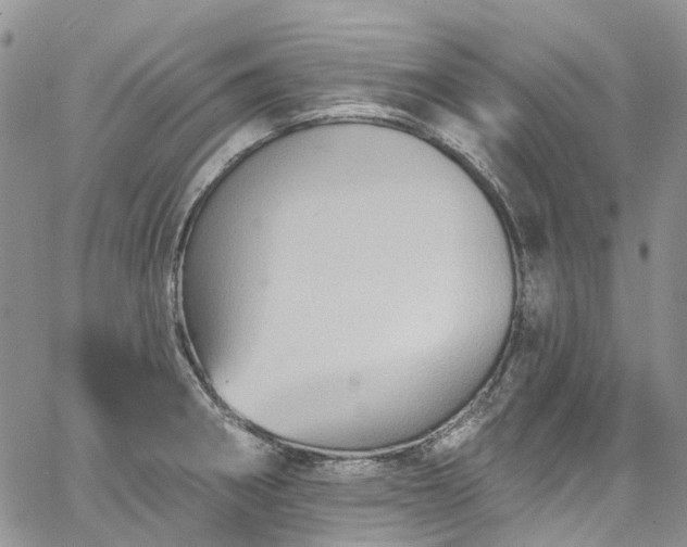 X0000067901282200604201325