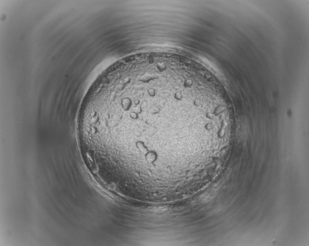 X0000067901283200604201325