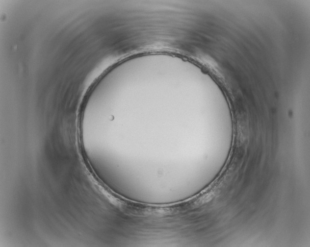 X0000067901286200604201325