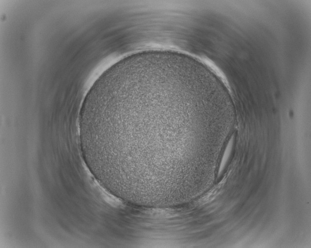 X0000067901287200604201325