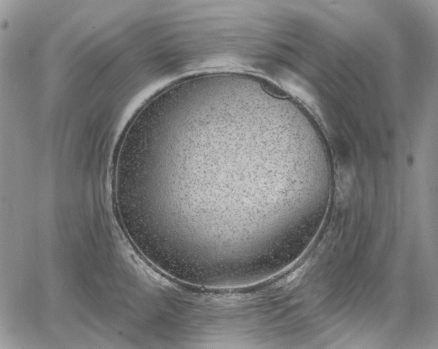 X0000067901288200604201325