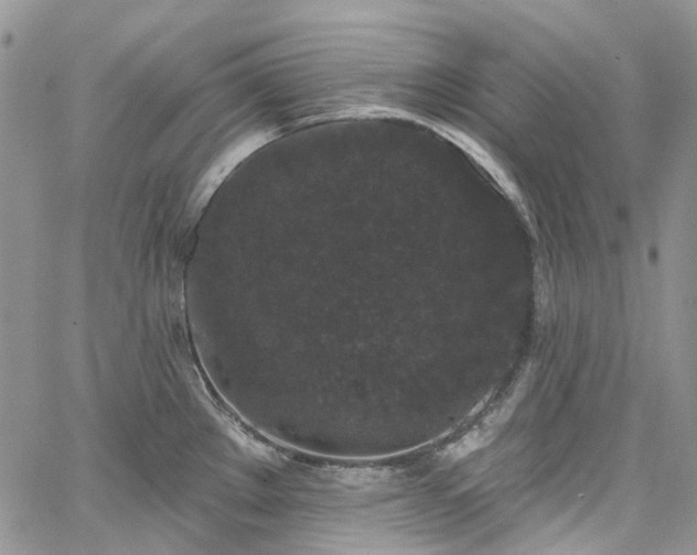 X0000067901289200604201325