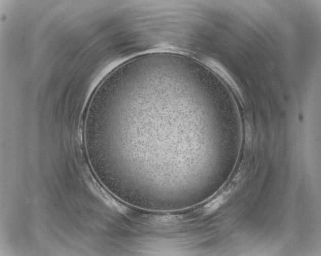 X0000067901292200604201325