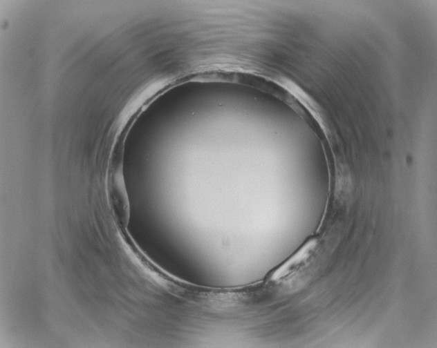 X0000067901293200604201325