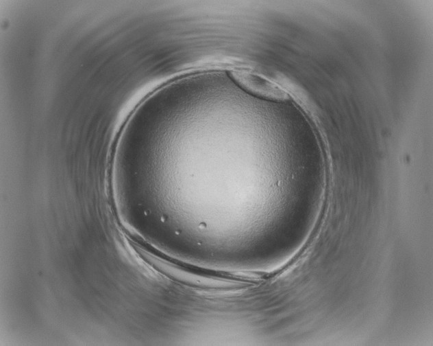 X0000067901296200604201325