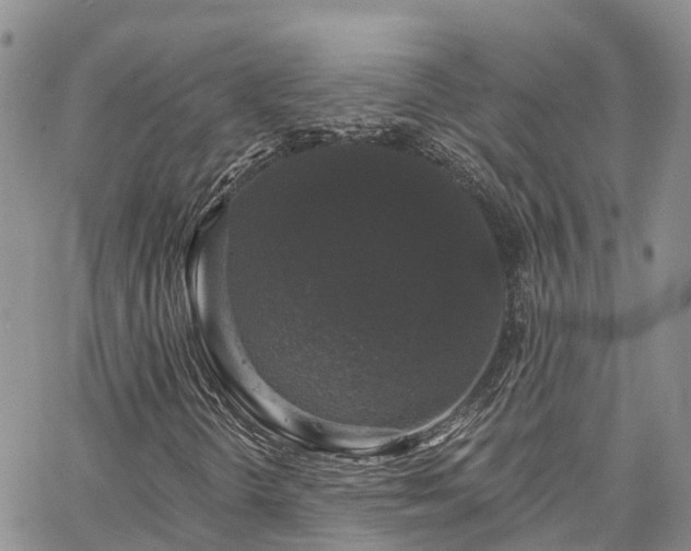 X0000067901298200604201324