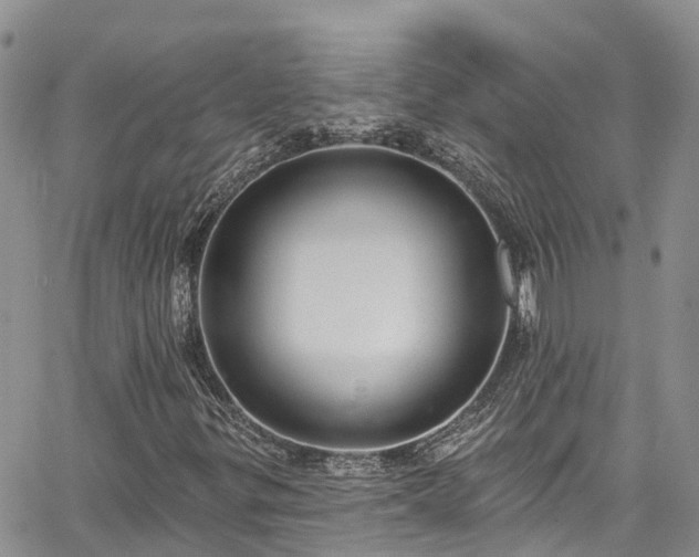 X0000067901299200604201324