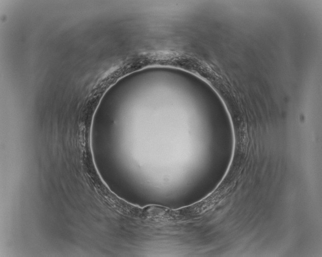 X0000067901301200604201324