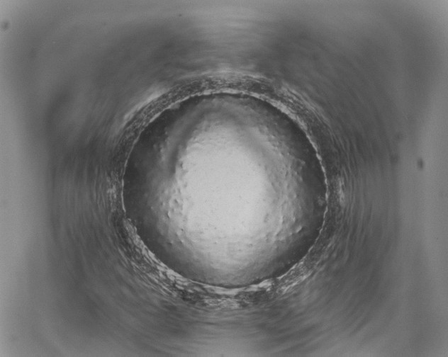 X0000067901302200604201324