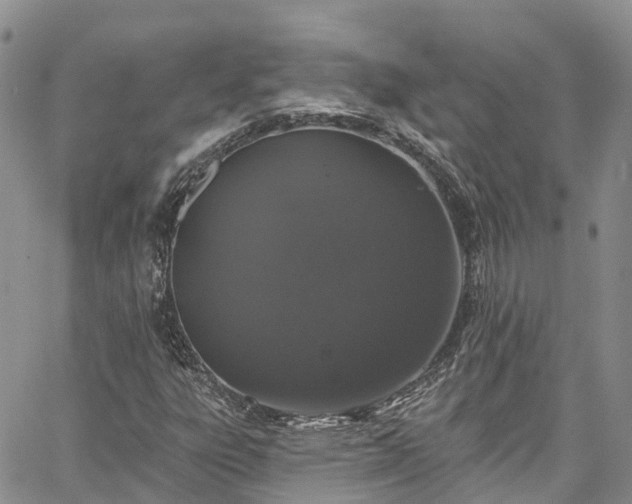 X0000067901303200604201324