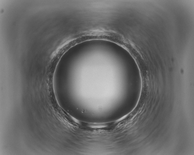 X0000067901304200604201324