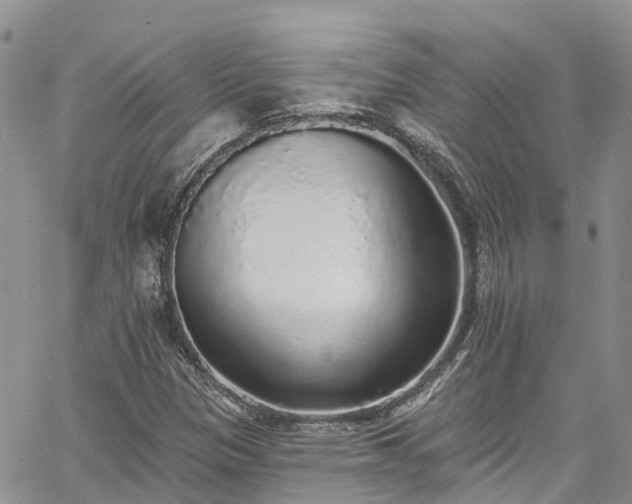 X0000067901305200604201324