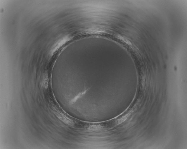 X0000067901306200604201324