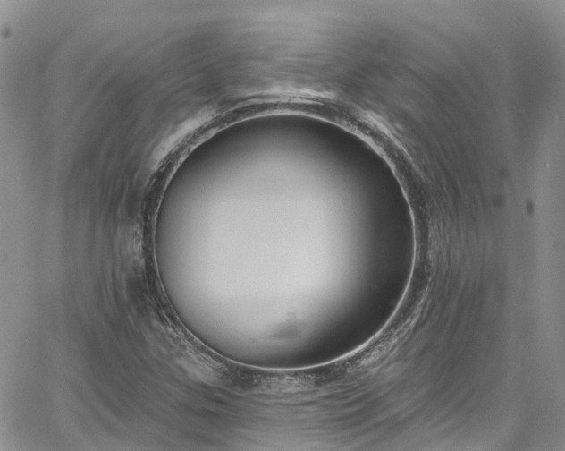 X0000067901307200604201324