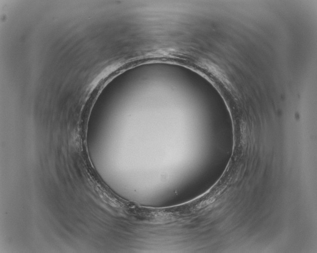 X0000067901308200604201324