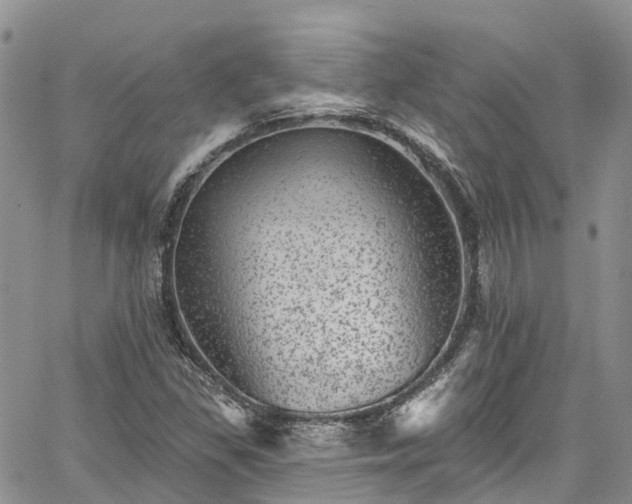 X0000067901309200604201324