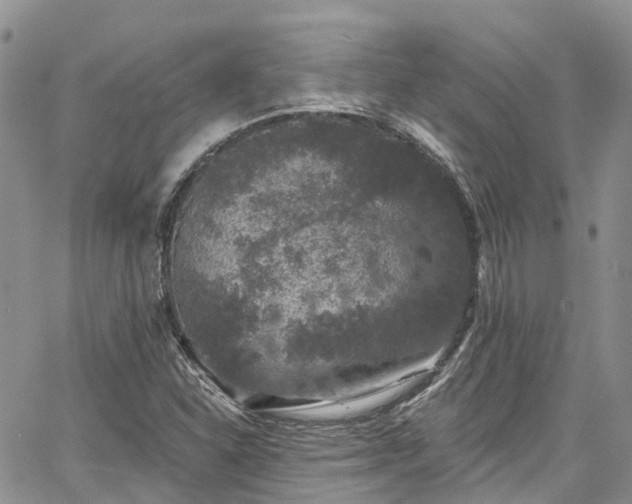 X0000067901310200604201324