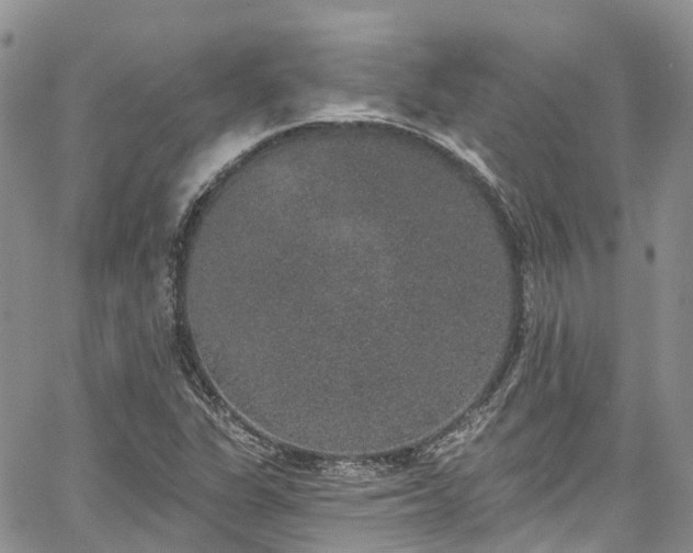 X0000067901311200604201324