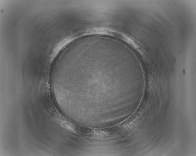 X0000067901312200604201324