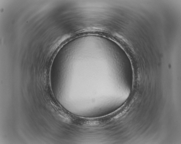 X0000067901313200604201325