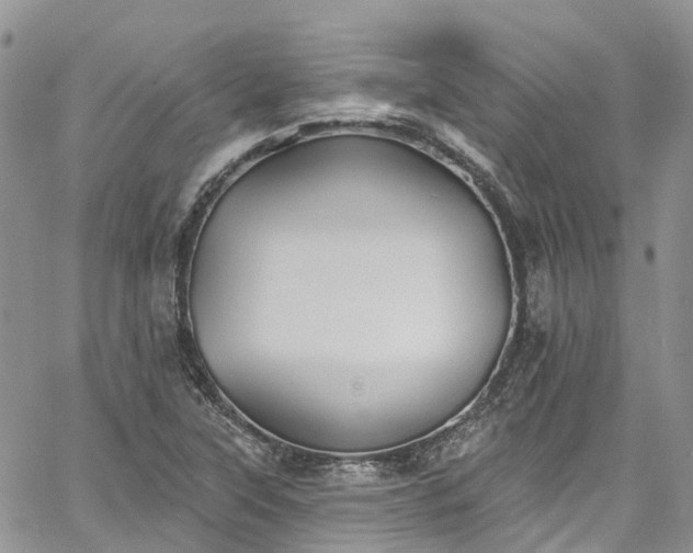 X0000067901315200604201325