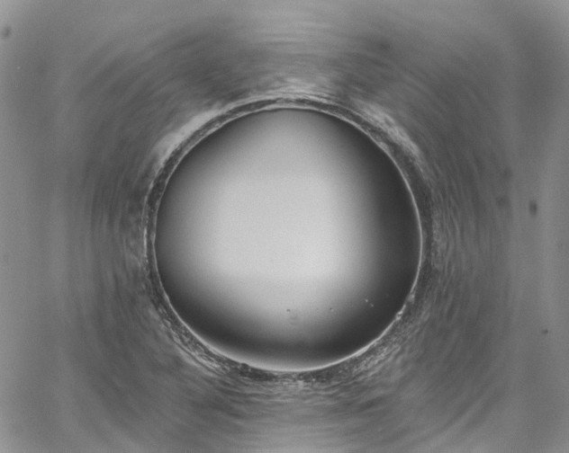 X0000067901316200604201325