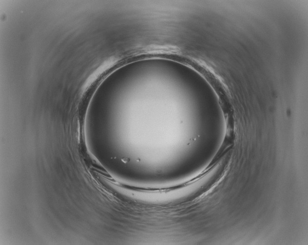 X0000067901317200604201325