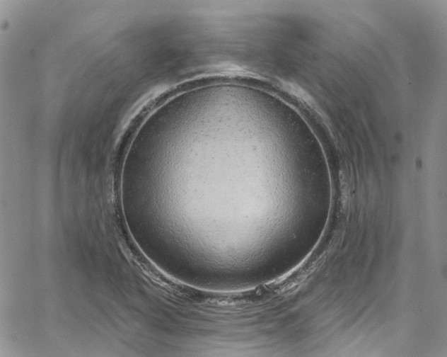 X0000067901318200604201325