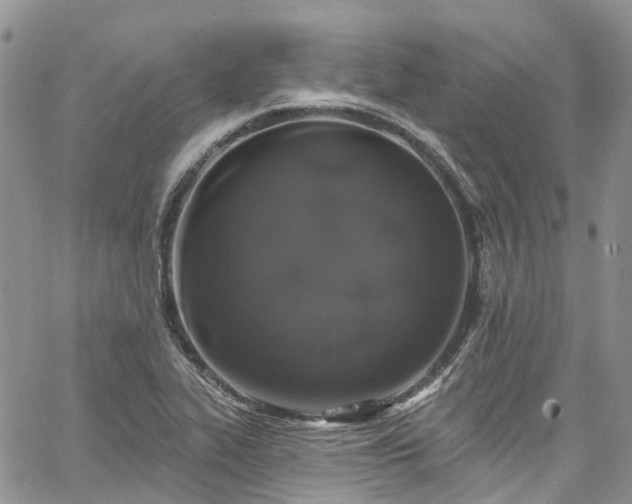 X0000067901319200604201325