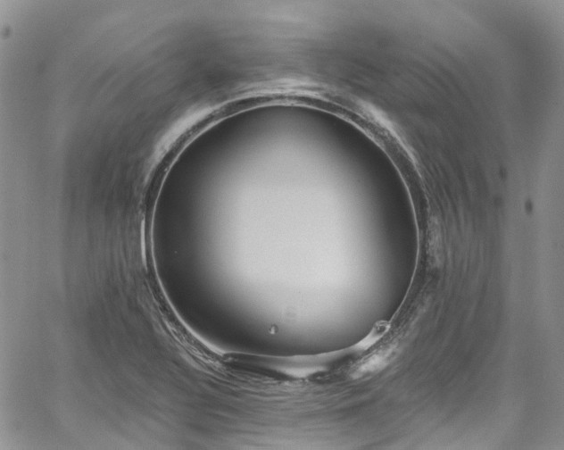 X0000067901320200604201325