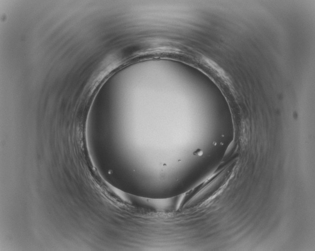 X0000067901321200604201325